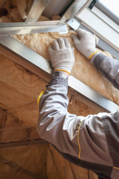 Best Insulation Installation Services in Roland, OK